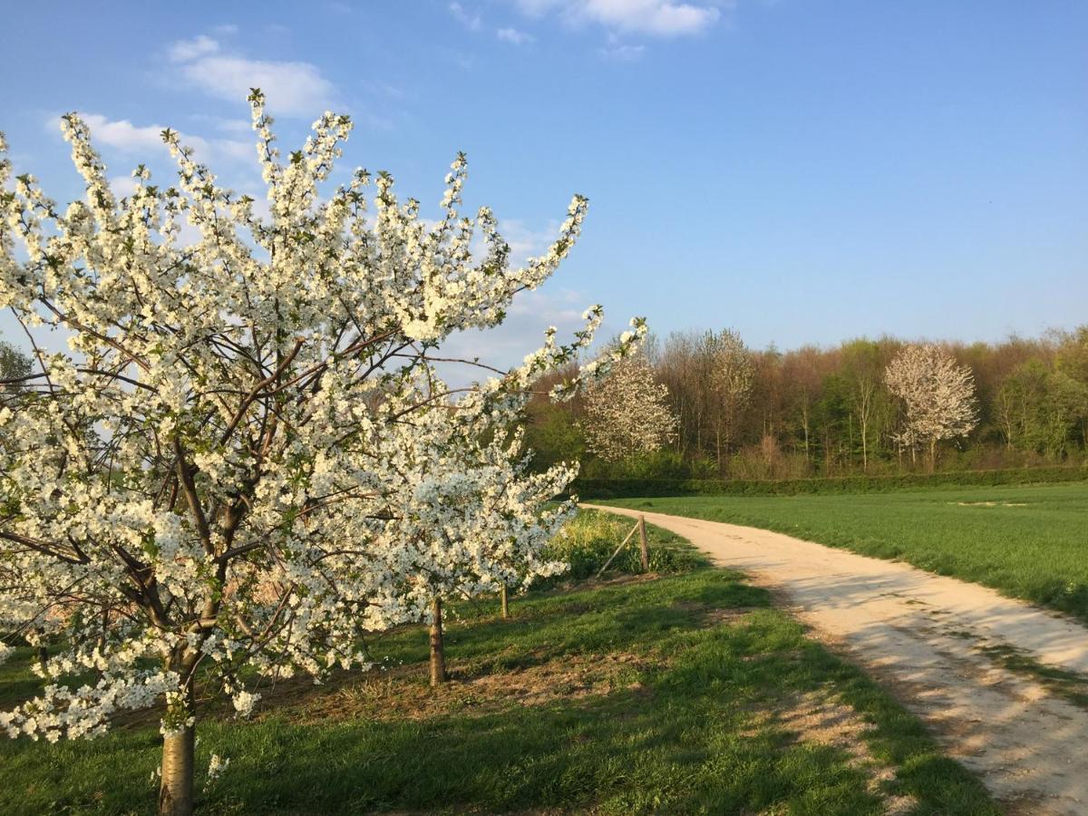 Belle Vue Vakantieappartement Genoelselderen 外观 照片