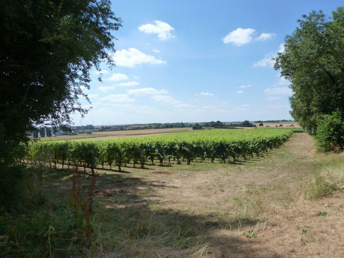 Belle Vue Vakantieappartement Genoelselderen 外观 照片